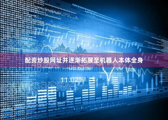配资炒股网址并逐渐拓展至机器人本体全身