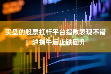 实盘的股票杠杆平台指数表现不错！沪指午后止跌回升