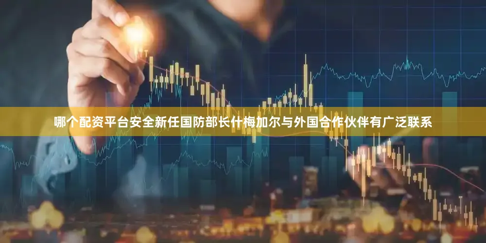 哪个配资平台安全新任国防部长什梅加尔与外国合作伙伴有广泛联系